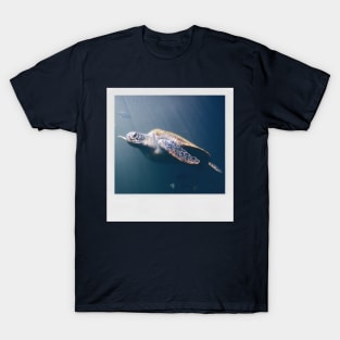 Turtle Cute Underwater Photograph Summer Beach Vibes I Like Turtles Turtle LOVE T-Shirt